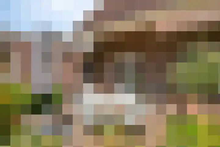 Dijkplan 3 Steenbergen thumbnail 44
