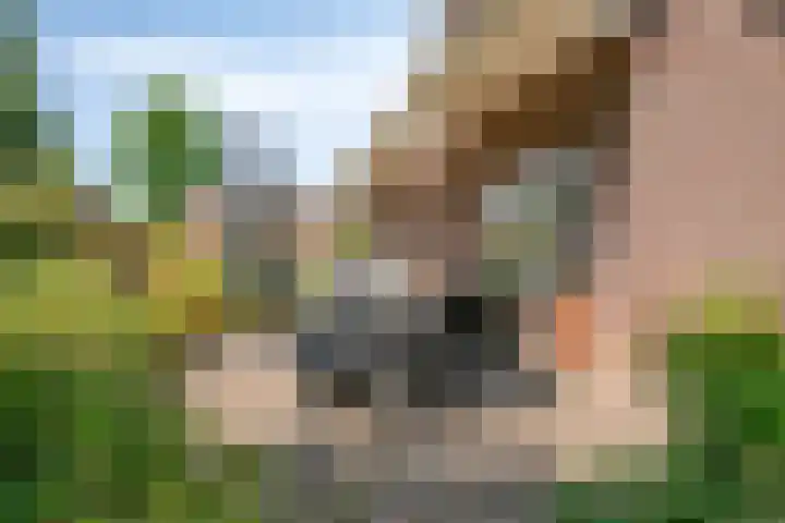 Dijkplan 3 Steenbergen thumbnail 45