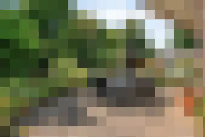 Dijkplan 3 Steenbergen thumbnail 46