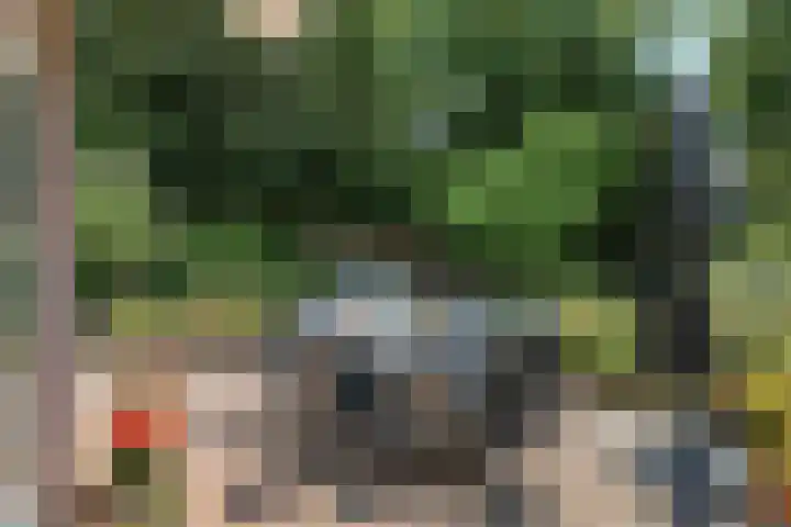 Dijkplan 3 Steenbergen thumbnail 47