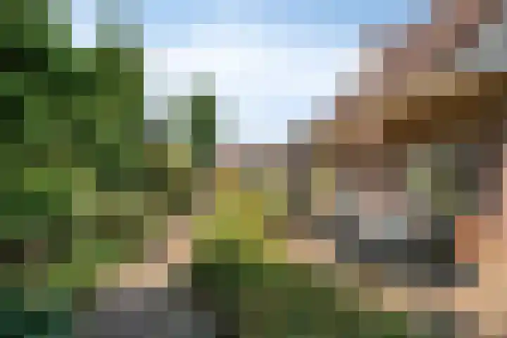 Dijkplan 3 Steenbergen thumbnail 48