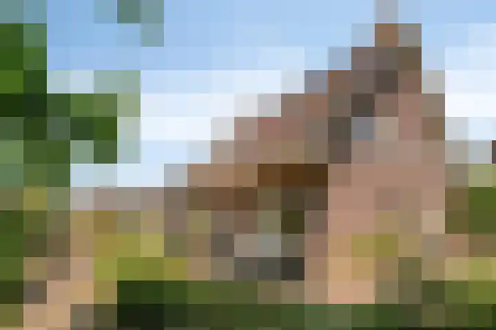 Dijkplan 3 Steenbergen thumbnail 49