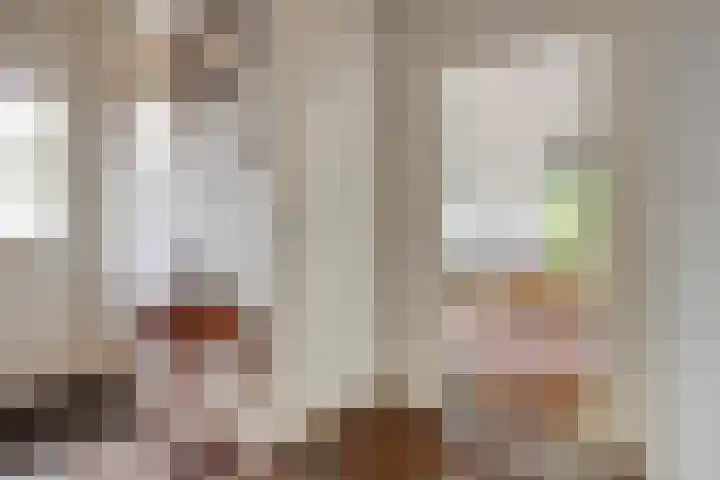 Dijkplan 3 Steenbergen thumbnail 5