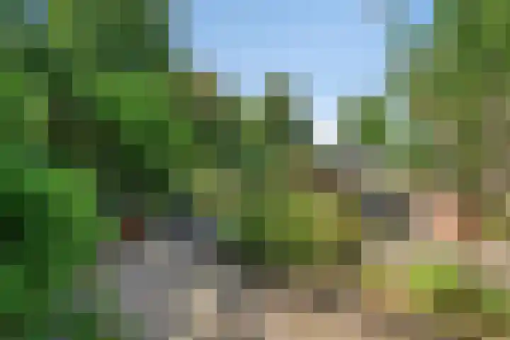 Dijkplan 3 Steenbergen thumbnail 50