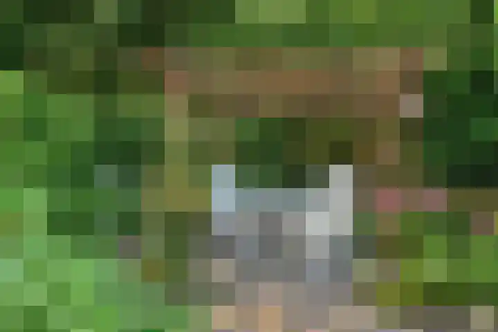 Dijkplan 3 Steenbergen thumbnail 51