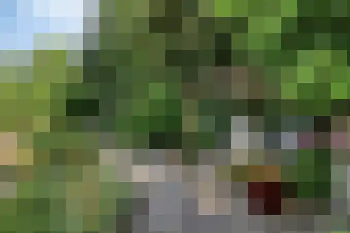 Dijkplan 3 Steenbergen thumbnail 52