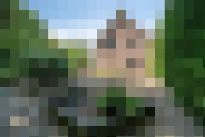Dijkplan 3 Steenbergen thumbnail 53