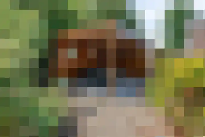 Dijkplan 3 Steenbergen thumbnail 55