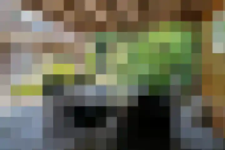 Dijkplan 3 Steenbergen thumbnail 57