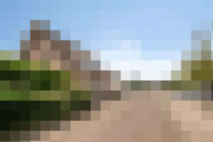 Dijkplan 3 Steenbergen thumbnail 62