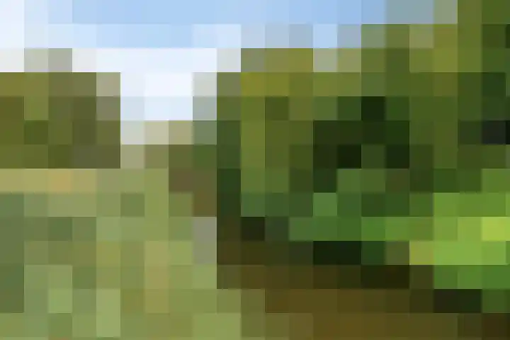 Dijkplan 3 Steenbergen thumbnail 63