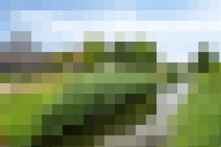 Dijkplan 3 Steenbergen thumbnail 64