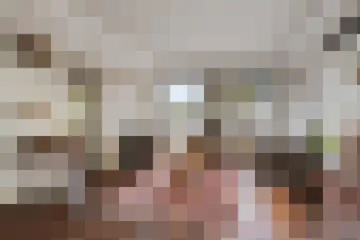 Dijkplan 3 Steenbergen thumbnail 7