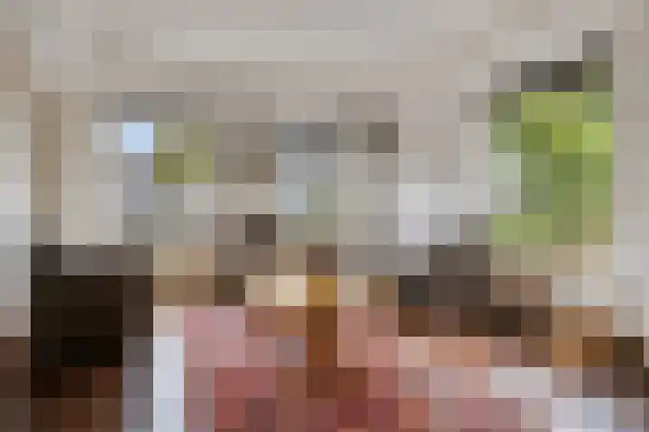 Dijkplan 3 Steenbergen thumbnail 8