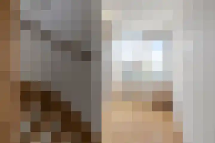 Dijkschouwerslaan 25 Den Helder thumbnail 18