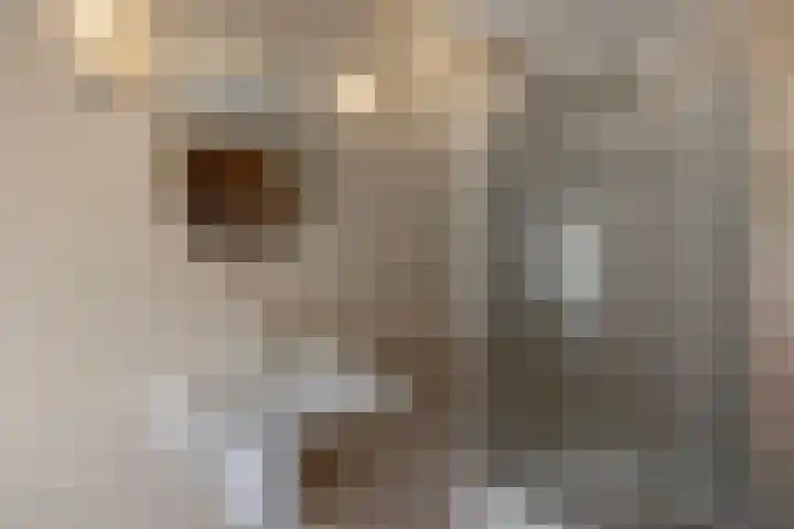 Dijkschouwerslaan 25 Den Helder thumbnail 20