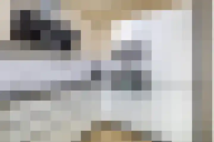 Dijkschouwerslaan 32 Den Helder thumbnail 12