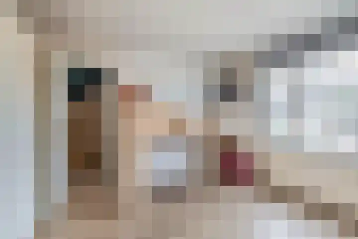 Dijkschouwerslaan 32 Den Helder thumbnail 23