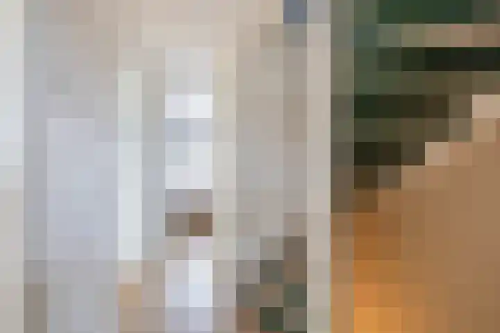 Dijkschouwerslaan 32 Den Helder thumbnail 27