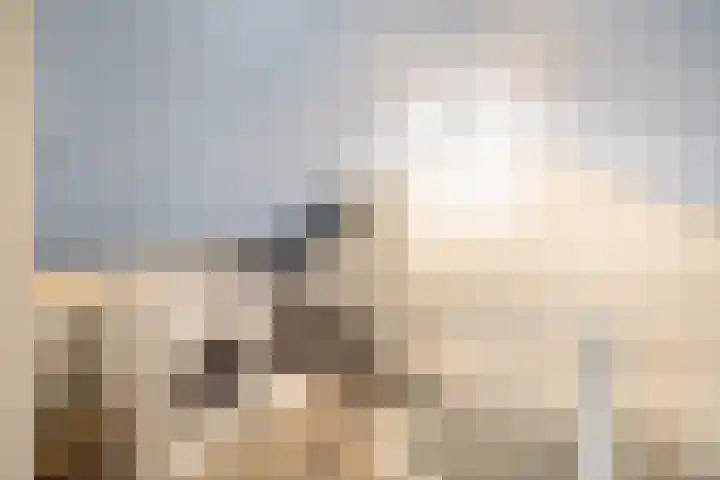 Dijkschouwerslaan 32 Den Helder thumbnail 28