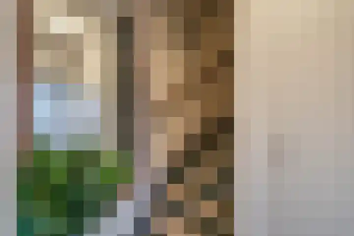 Dijkschouwerslaan 32 Den Helder thumbnail 4