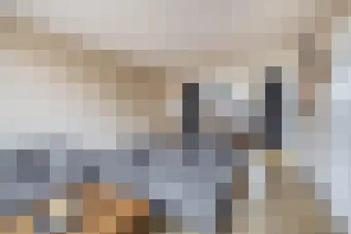 Dijkschouwerslaan 32 Den Helder thumbnail 6
