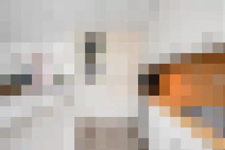 Dijkschouwerslaan 69 Den Helder thumbnail 16