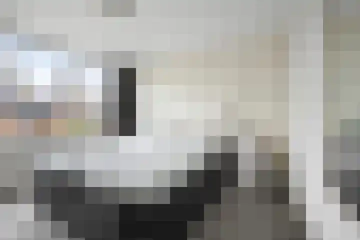 Dijkschouwerslaan 69 Den Helder thumbnail 23