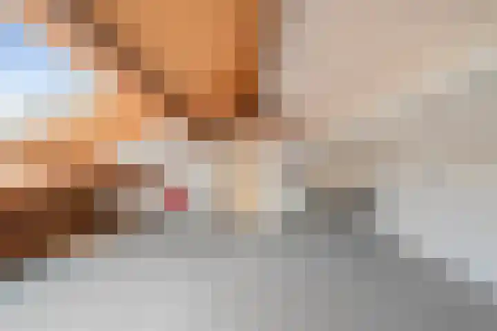 Dijkschouwerslaan 69 Den Helder thumbnail 39