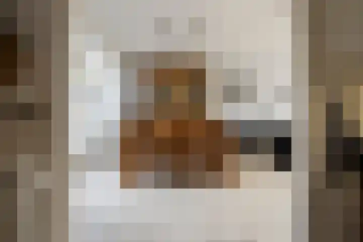 Dijkschouwerslaan 7 Den Helder thumbnail 10