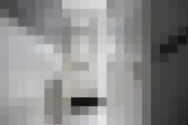 Dijkschouwerslaan 7 Den Helder thumbnail 15