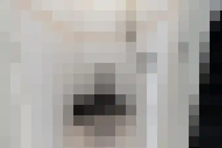 Dijkschouwerslaan 7 Den Helder thumbnail 16