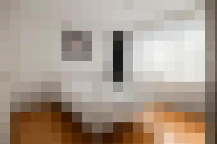 Dijkschouwerslaan 7 Den Helder thumbnail 20