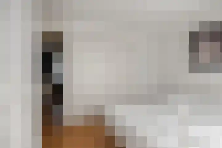 Dijkschouwerslaan 7 Den Helder thumbnail 21