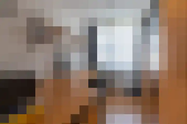 Dijkschouwerslaan 7 Den Helder thumbnail 22