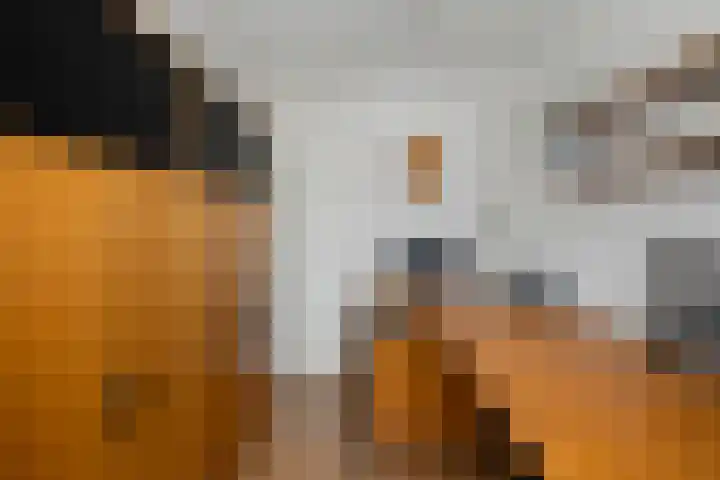 Dijkschouwerslaan 7 Den Helder thumbnail 23