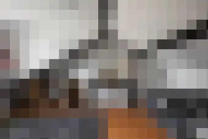 Dijkschouwerslaan 7 Den Helder thumbnail 27