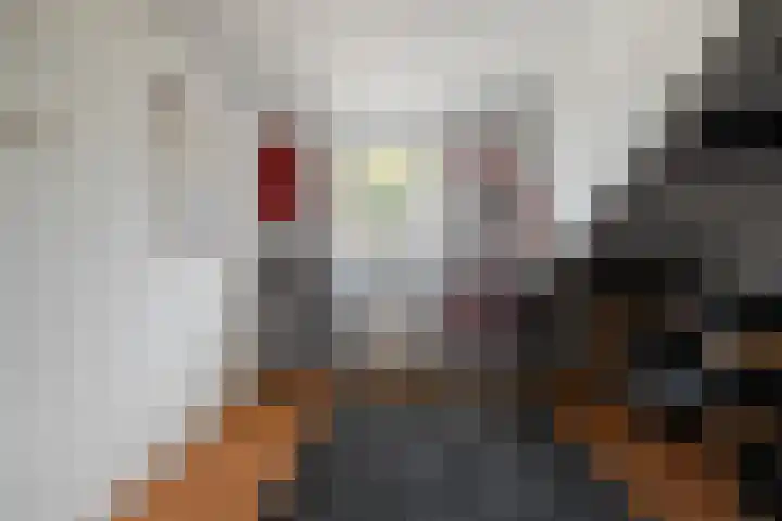 Dijkschouwerslaan 7 Den Helder thumbnail 28