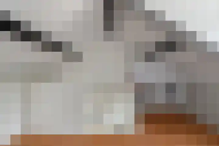 Dijkschouwerslaan 7 Den Helder thumbnail 30
