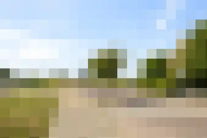 Dijkschouwerslaan 7 Den Helder thumbnail 31