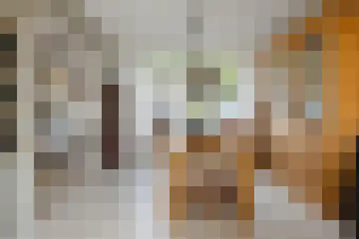 Dijkschouwerslaan 7 Den Helder thumbnail 7