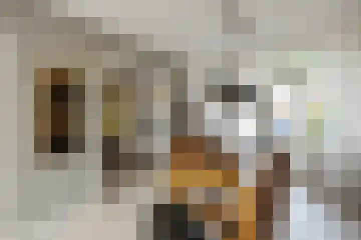 Dijkschouwerslaan 7 Den Helder thumbnail 8