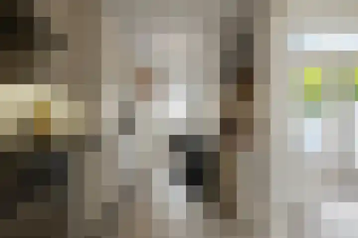 Dijkschouwerslaan 7 Den Helder thumbnail 9