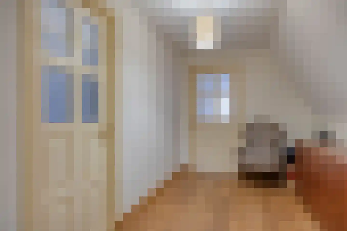 Dijksestraat 31 Helmond thumbnail 19