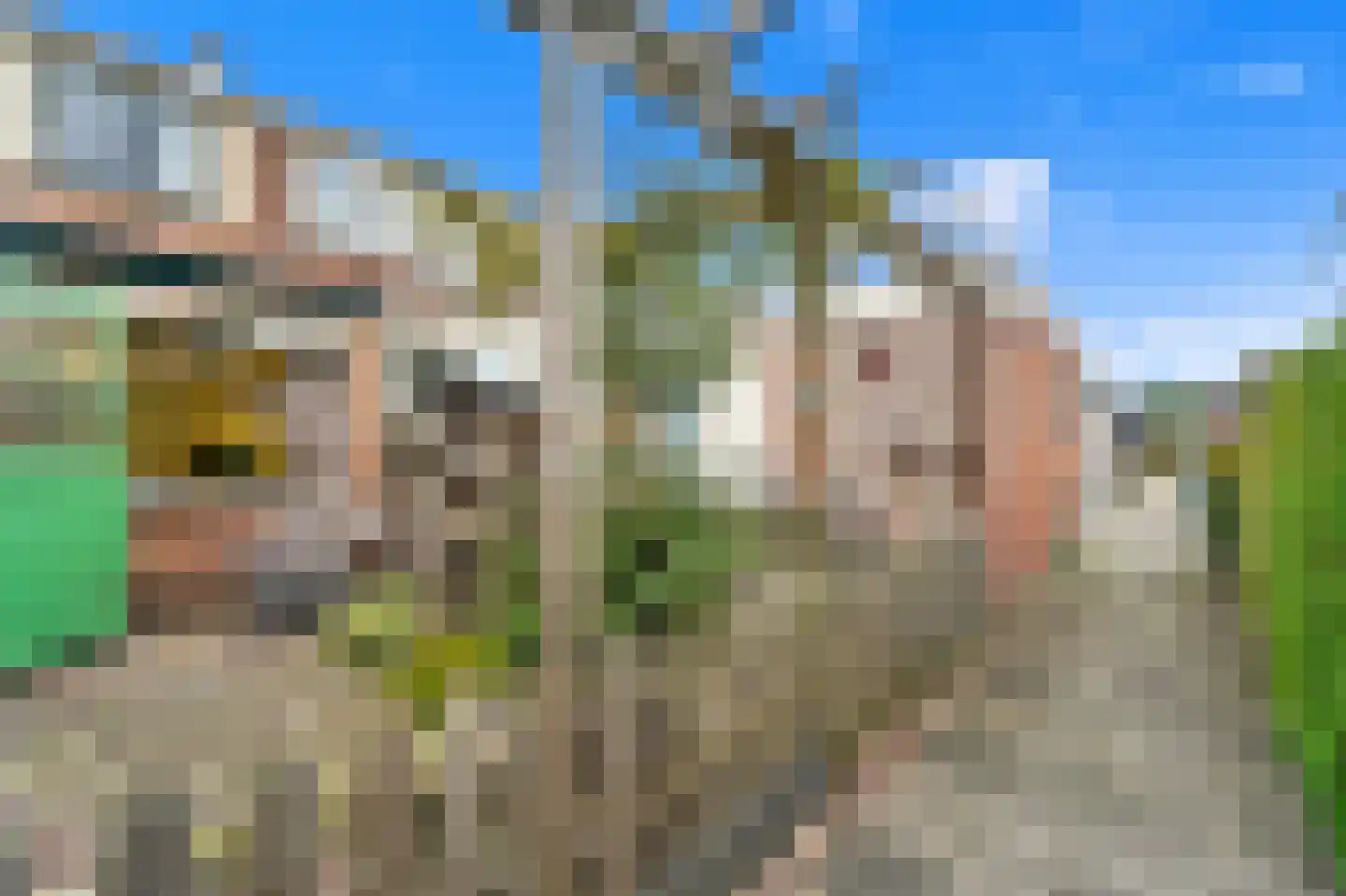 Dijkshoornseweg 170 Den Hoorn thumbnail 25