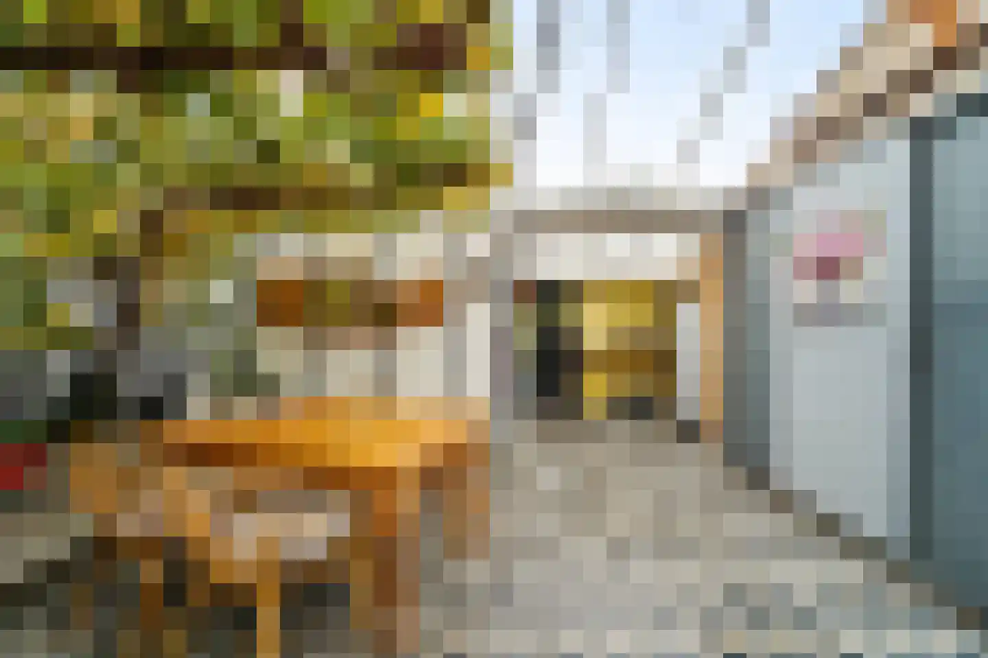 Dijkshoornseweg 170 Den Hoorn thumbnail 5