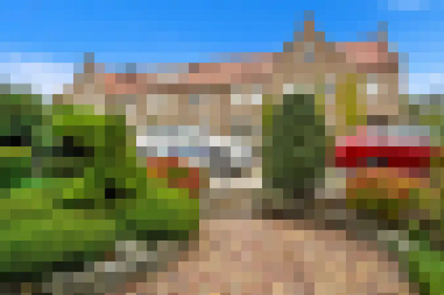Dijkshoornseweg 170 Den Hoorn thumbnail 9