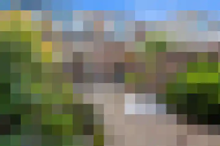 Dijkshoornseweg 22 Den Hoorn thumbnail 17