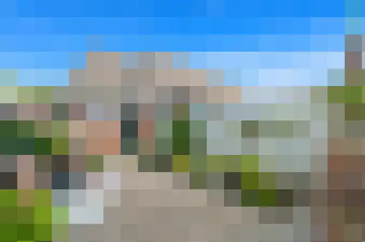 Dijkshoornseweg 22 Den Hoorn thumbnail 18