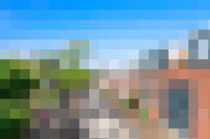 Dijkshoornseweg 22 Den Hoorn thumbnail 4